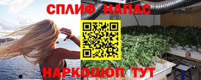 apvp Будённовск