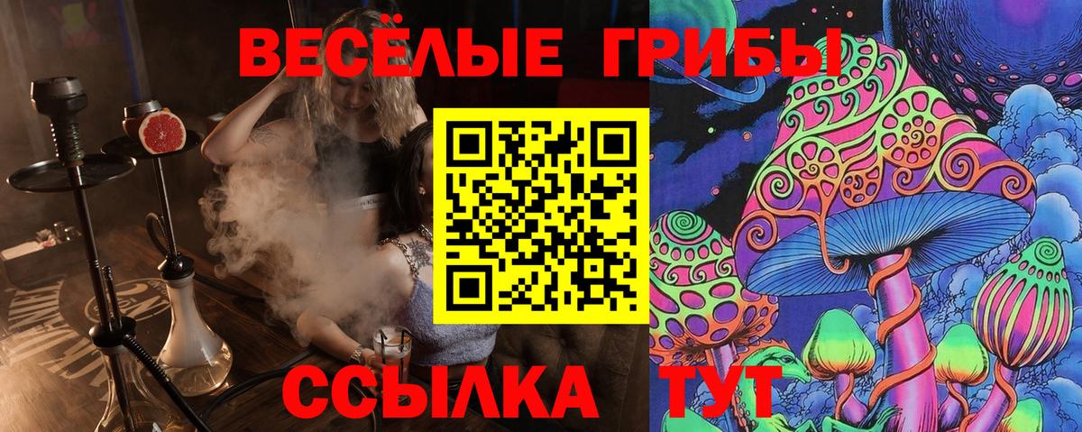 Псилоцибиновые грибы Cubensis Нарьян-Мар