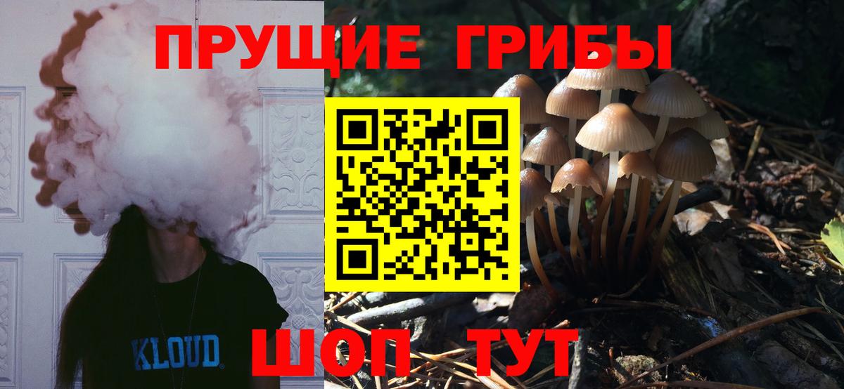 купить   Вход с VPN  Нарьян-Мар  Галлюциногенные грибы MAGIC MUSHROOMS 