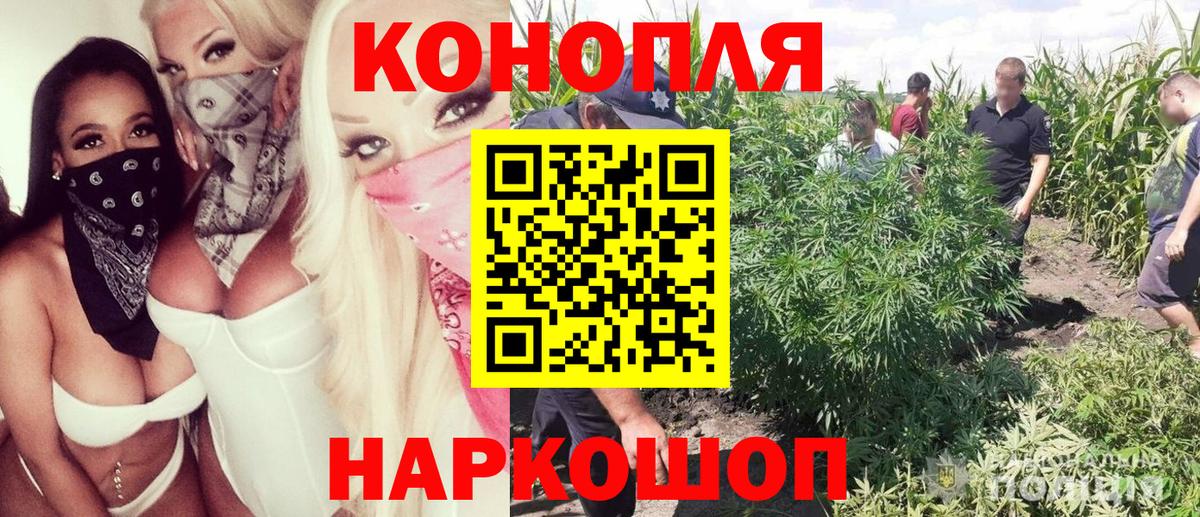 Бошки марихуана семена Нарьян-Мар